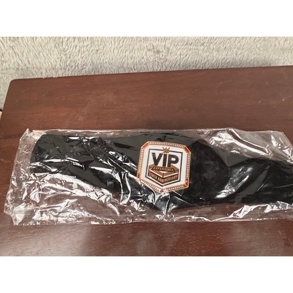 WWE VIP Experience 10th Anniversary 2023 Limited Edition Mini Replica Belt - Picture 3 of 12